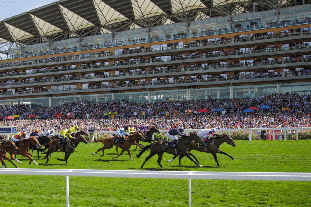 local taxi windsor driver with car at ascot races uk